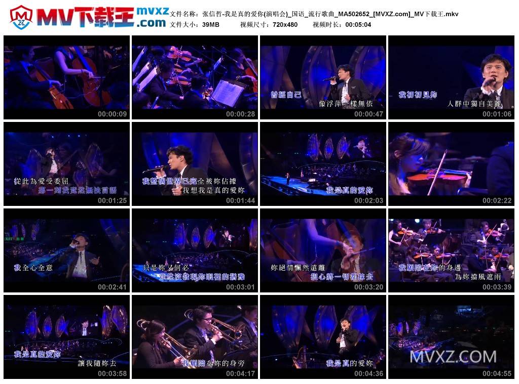 张信哲-我是真的爱你(演唱会)_国语_流行歌曲_MA502652